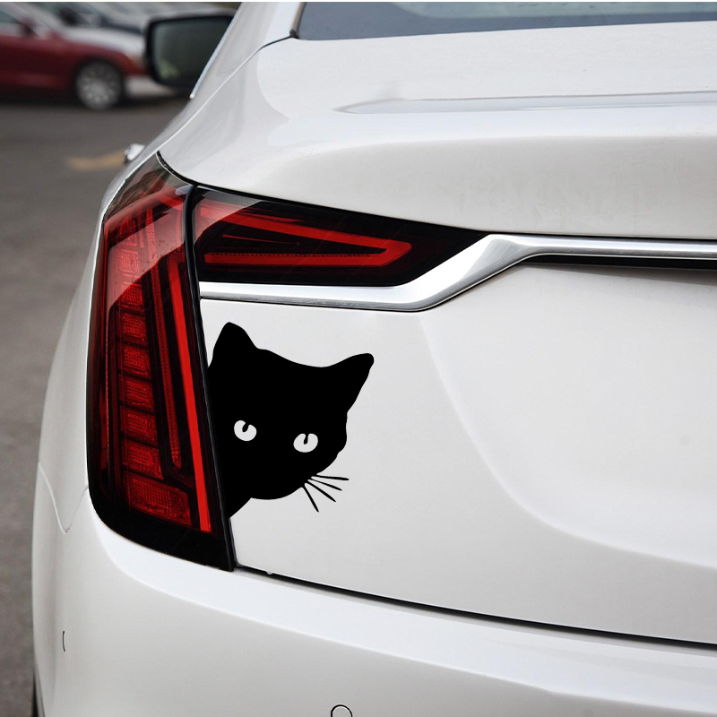 Car interior stickers black/wh - огляд і ціна Laser Controller Board